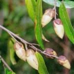 image012