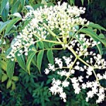 image014